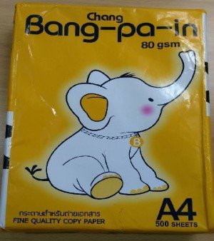 Bang Pa-in A4 Copy Paper