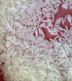 Rice 1121 Golden Sella