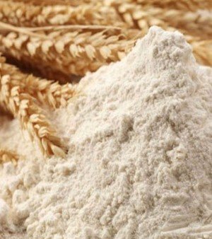 Wheat Flour