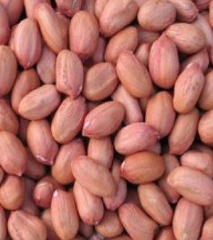 Organic Groundnut