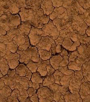 Clay