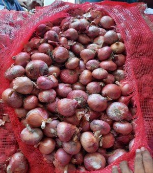 Red Onion