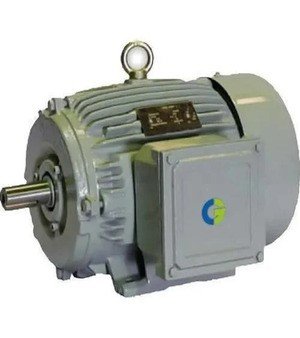 Crompton Make Electric Motor