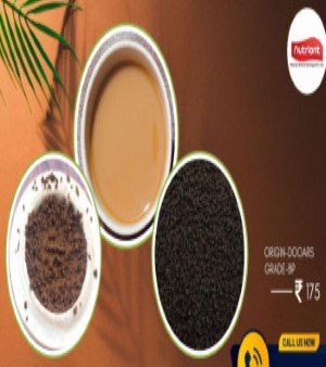 BP grade CTC Tea