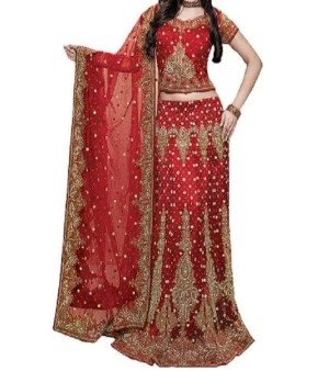 Embroidered Lehenga