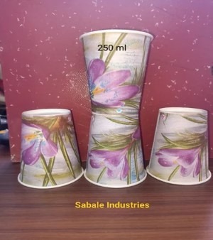 Cold Drink Paper Cup