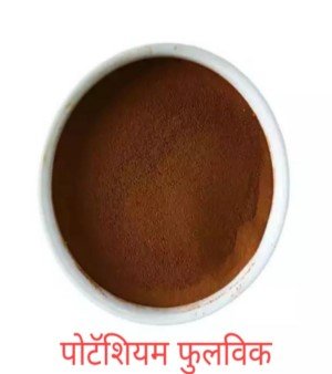 Red Chilli