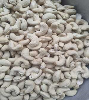Cashew