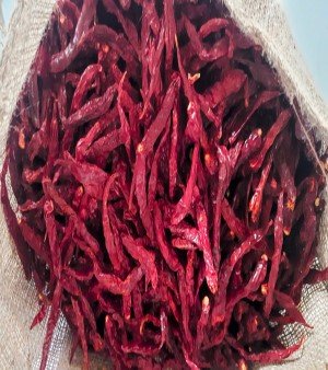 Red chilli