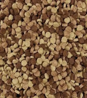 Dog Food