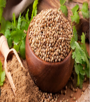 Coriander Seeds