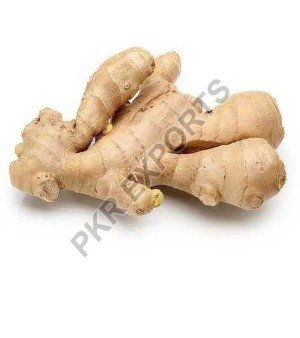 Fresh Ginger