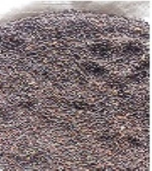 Black Mustard Seeds