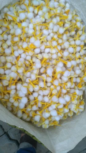 Cotton Wicks