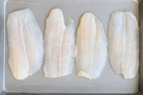 Fish Meat
