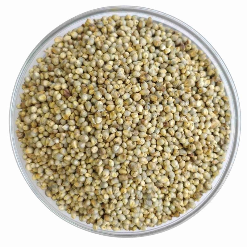 Organic Pearl Millet