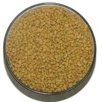 Fenugreek Seeds