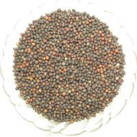 Embelia Ribes Seeds