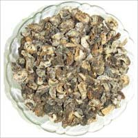 Emblica Officinalis