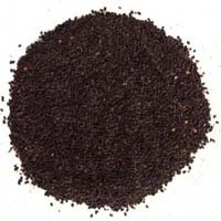 Ocimum Basilicum