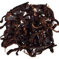 Cyperus Scariosus