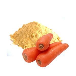 Spray Dried Carrot Powder