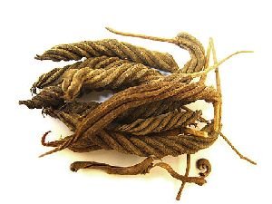 Isora Fructus Herb