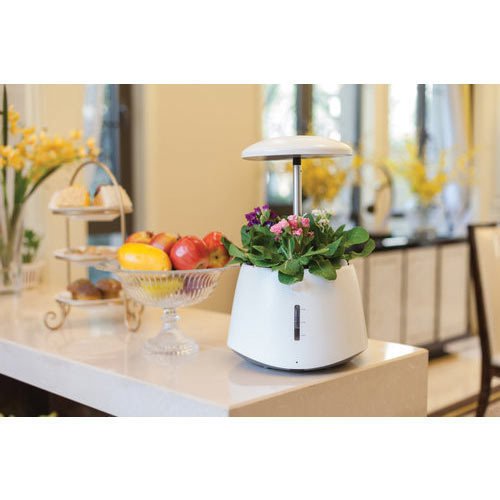 Green Pet Hydroponic System