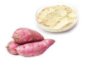 Dehydrated Sweet Potato Powder