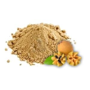 Spray Dried Sapota Powder