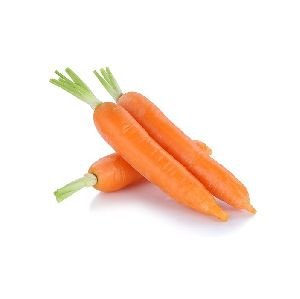 Fresh Carrot