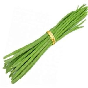 Fresh Drumsticks