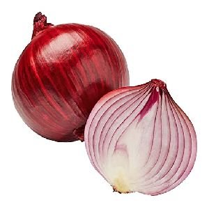 Fresh Onion