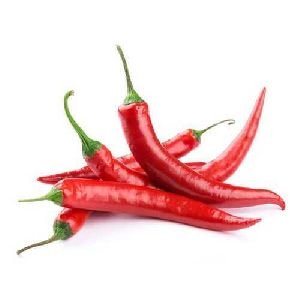 Fresh Red Chilli