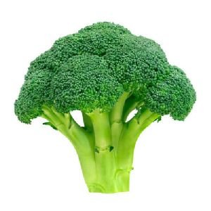 Fresh Broccoli, Color : Green