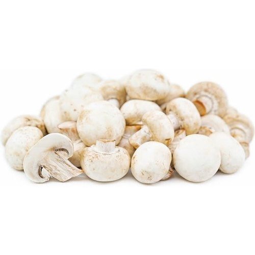 Organic Button Mushroom