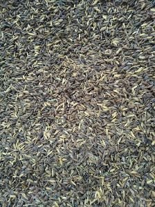 Kalanamak Rice