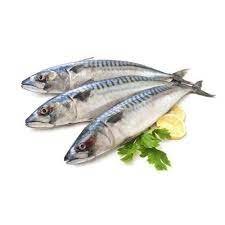 Frozen Fish