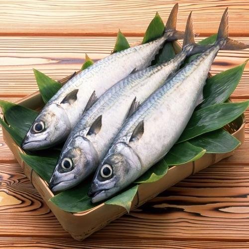 Fresh Fish