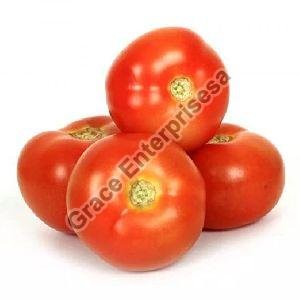 Fresh Tomato