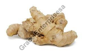 Fresh Ginger