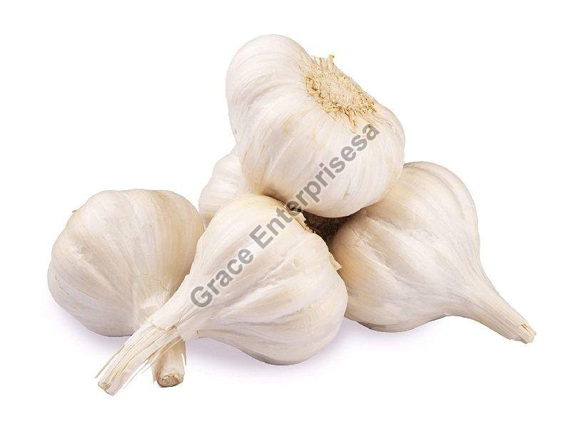 Fresh Garlic