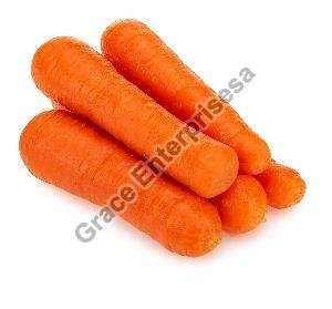 Fresh Carrot