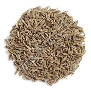 Cumin Seeds