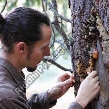 Aromatic Tree Resin