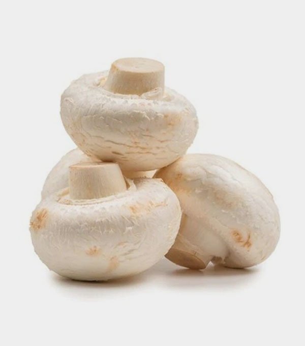 Fresh Button Mushroom