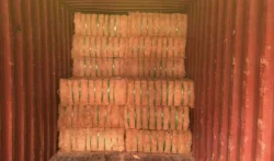 Coconut Coir Fiber