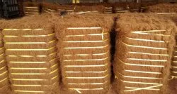 Baled Coir Fiber