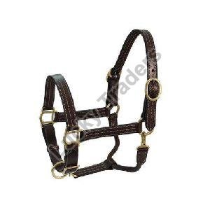 Horse Halters