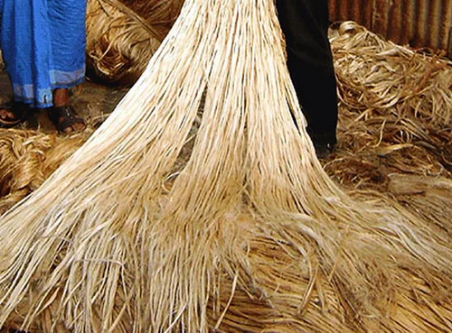 Raw Jute Fiber